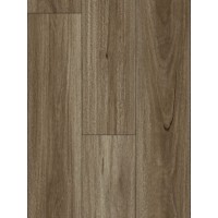 Spotted Gum - AquaGlow AC5 Laminate (price per sqm)