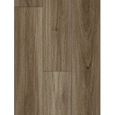 Spotted Gum - AquaGlow AC5 Laminate (price per sqm)