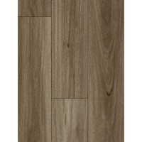 Spotted Gum - HydroCore AC4 Laminate (price per sqm)