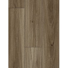 Spotted Gum - HydroCore AC4 Laminate (price per sqm)
