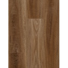 Spotted Gum - MTF AC4 Laminate (price per sqm)