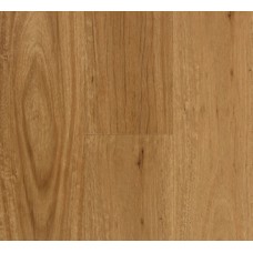 Coastal Blackbutt - Aspire Hybrid Click Profile (Price Per Sqm)