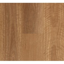 QLD Spotted Gum - Aspire Hybrid Click Profile (Price per Sqm)