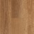 QLD Spotted Gum - Aspire Hybrid Click Profile (Price per Sqm)