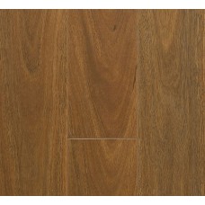 Mountain Spotted Gum -Laminate Classic Collection (Gloss Finish)- Price per Sqm 