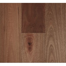 Spotted Gum, Smooth S-Gloss, 0.6mm - Fiddleback Collection Engineered Australian Hardwood Flooring (Price Per Sqm)