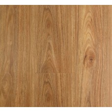 OL Spotted Gum - Laminate Oakleaf 12mm (Price Per Sqm)
