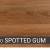 Queensland Spotted Gum -Prime Laminate Contemporary  plus Edition 12.3mm (Price per Sqm)