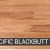 Pacific Blackbutt(AB Grade)- Woodland Floating Timber Flooring (Price Per Sqm)